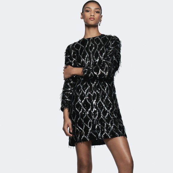 Zara Black and Silver Sequin Dress - Picture 1 of 16